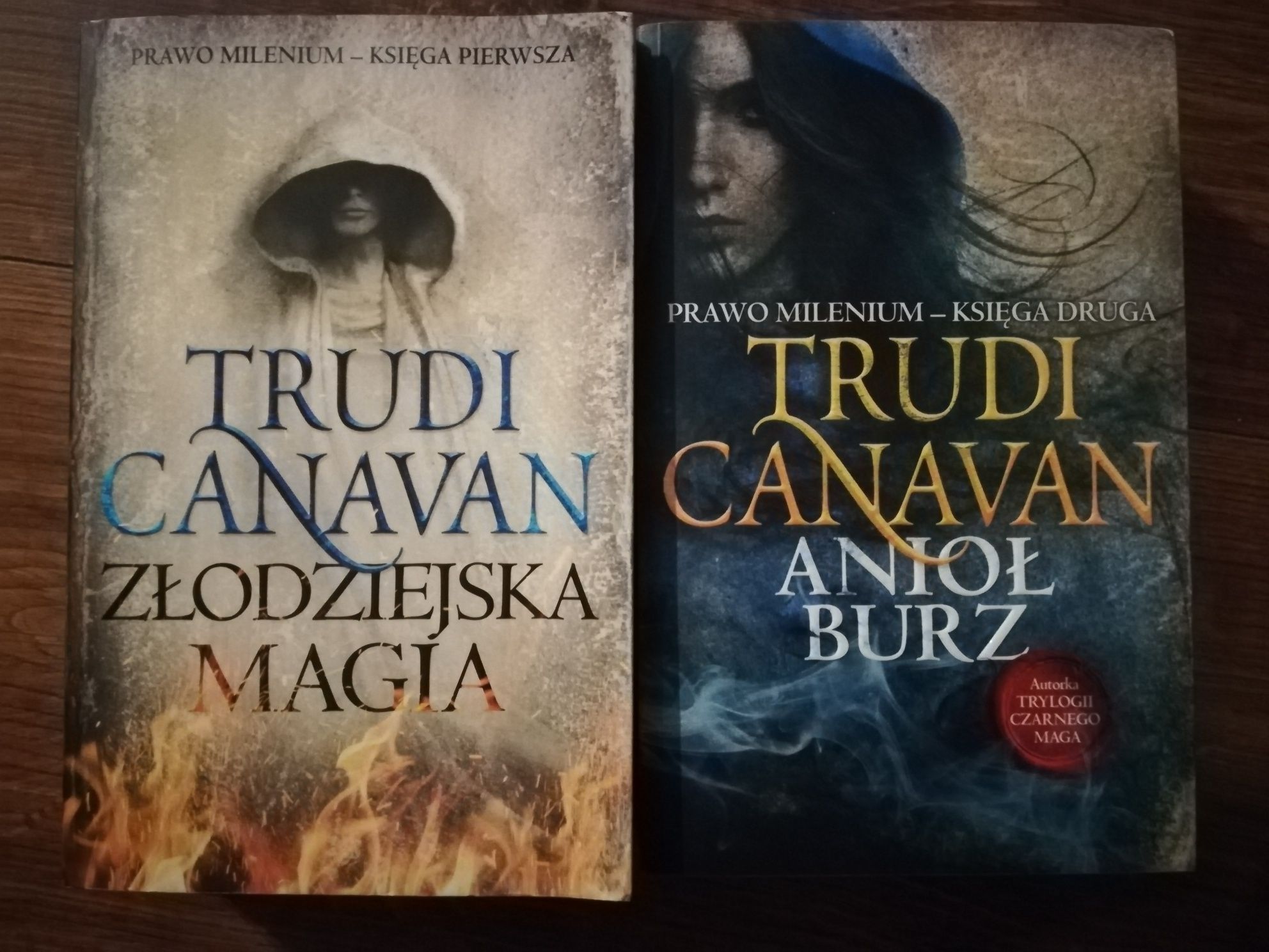 Trudi Canavan, Prawo Milenium, Złodziejska magia i Anioł burz