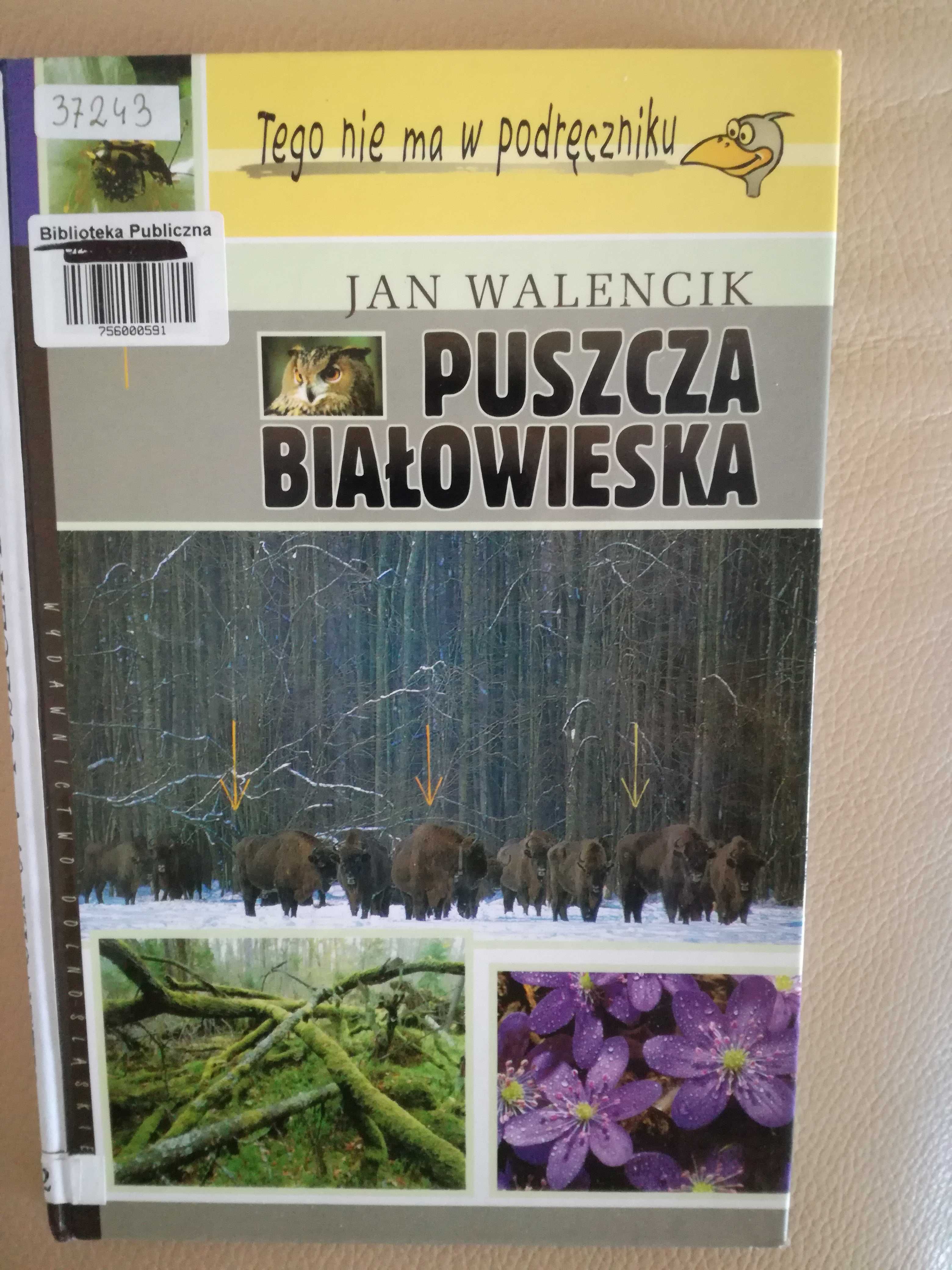 Jan Walencik	"Puszcza Białowieska"