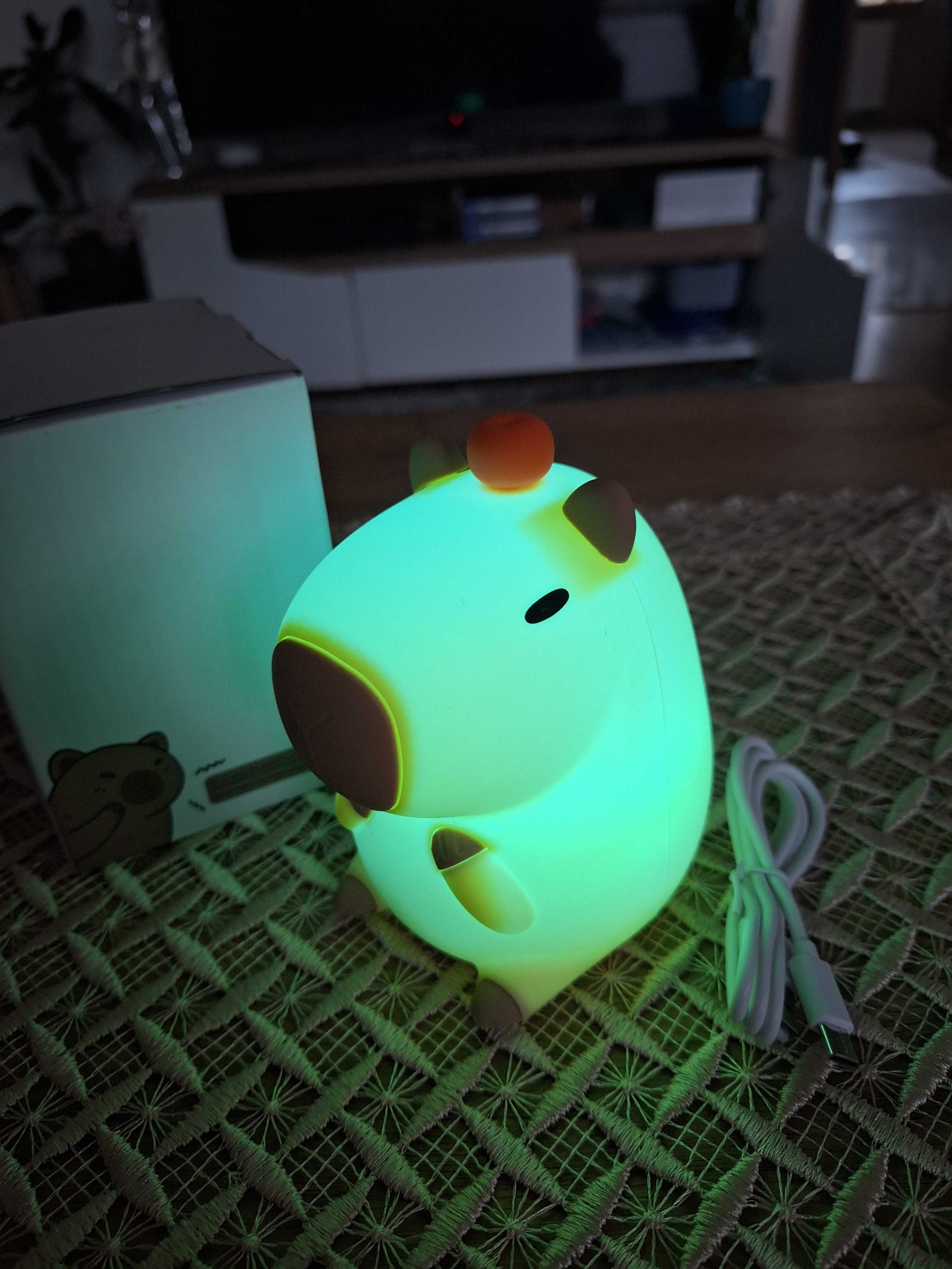 Lampka Capibara wielokolorowa