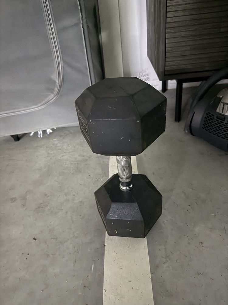 Dumbbel 22,5 kg Fittest