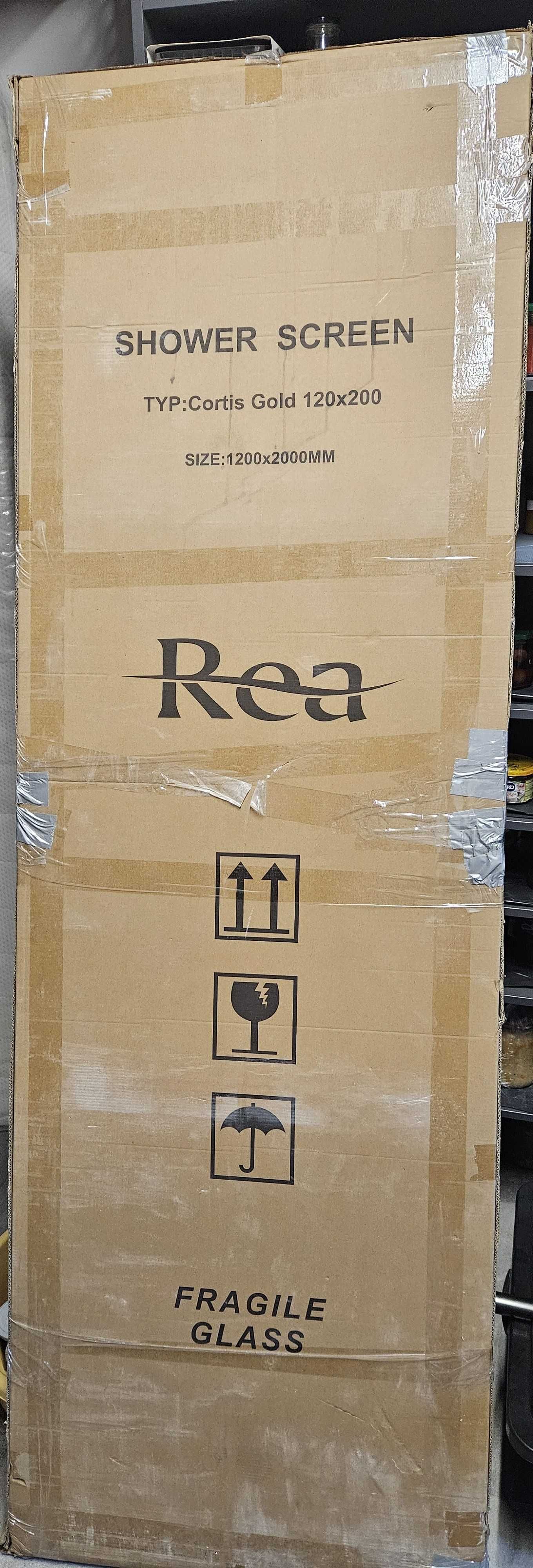 Ścianka prysznicowa przesuwna 120cm Cortis Gold Rea