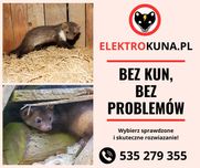 Pastuch elektryczny na kuny I Montaż I Gwarancja I Gorzów Wielkopolski