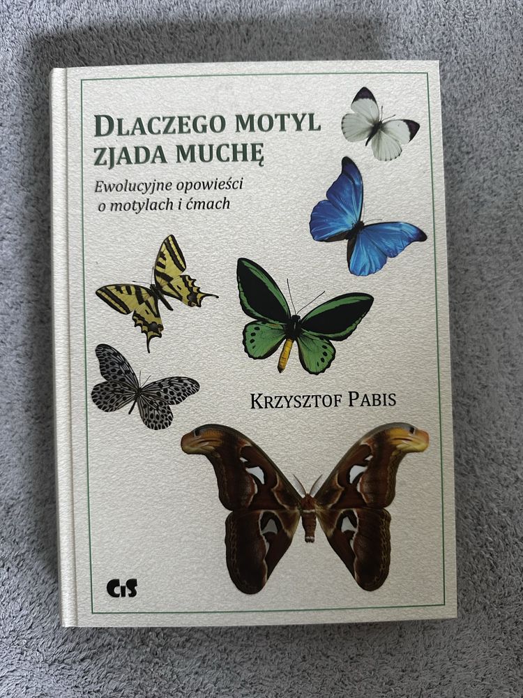 Dlaczego motyl zjada muche