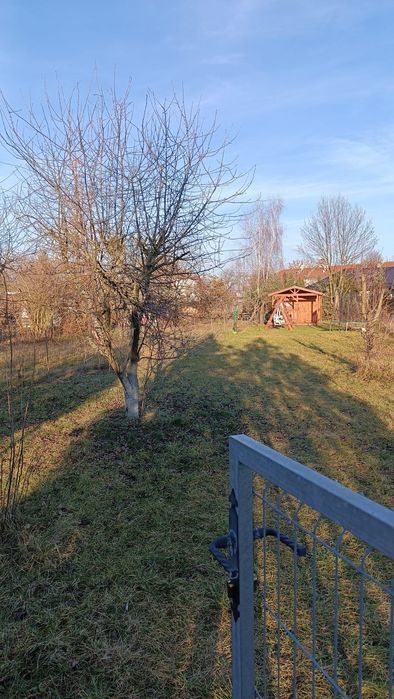 Działka  Rod Tulipan w Siechnicach