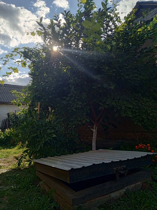 Продаж Будинок,заїхати і Насолоджуватися Життям