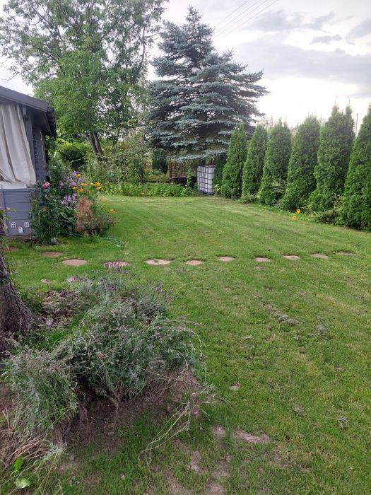 Działka ROD Zlote Piaski Siedlce