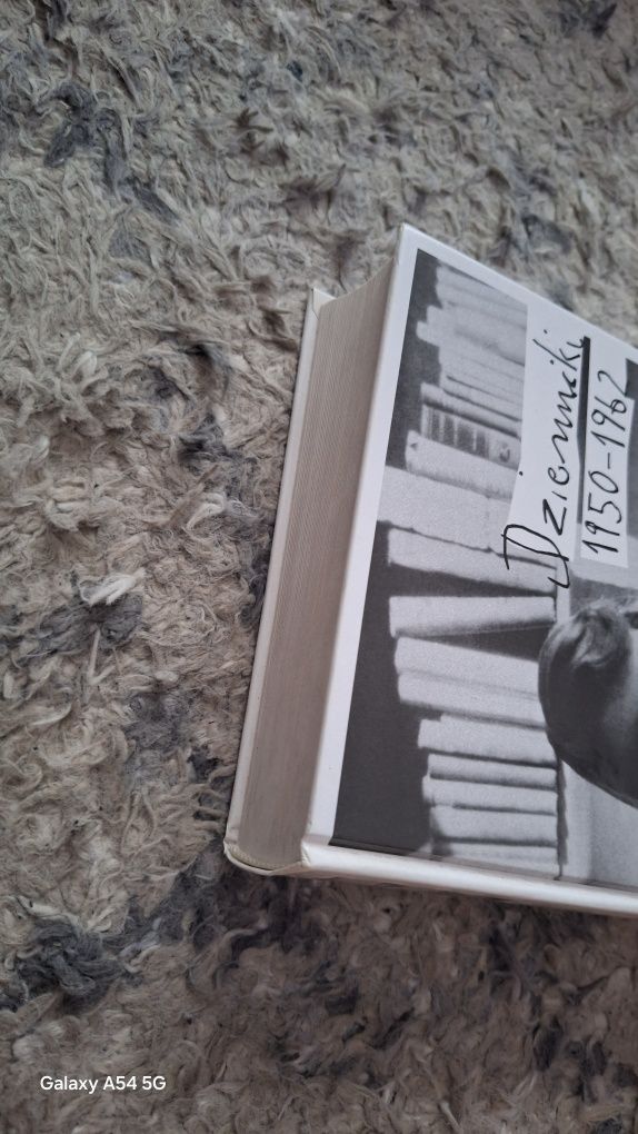 Sylvia Plath Dzienniki [BSZP2]