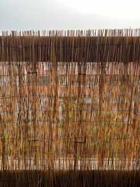 Cerca de bambu 100x500 cm