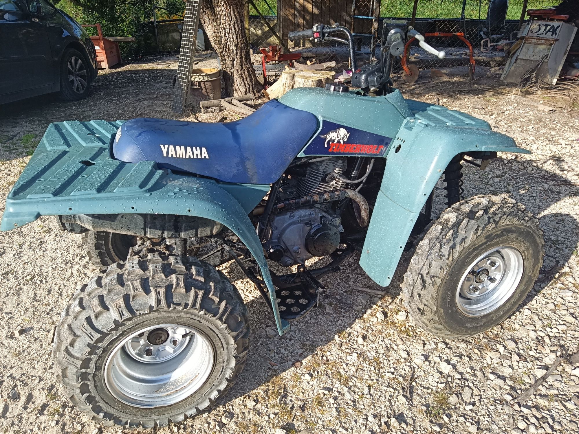 Yamaha timberwolf 250