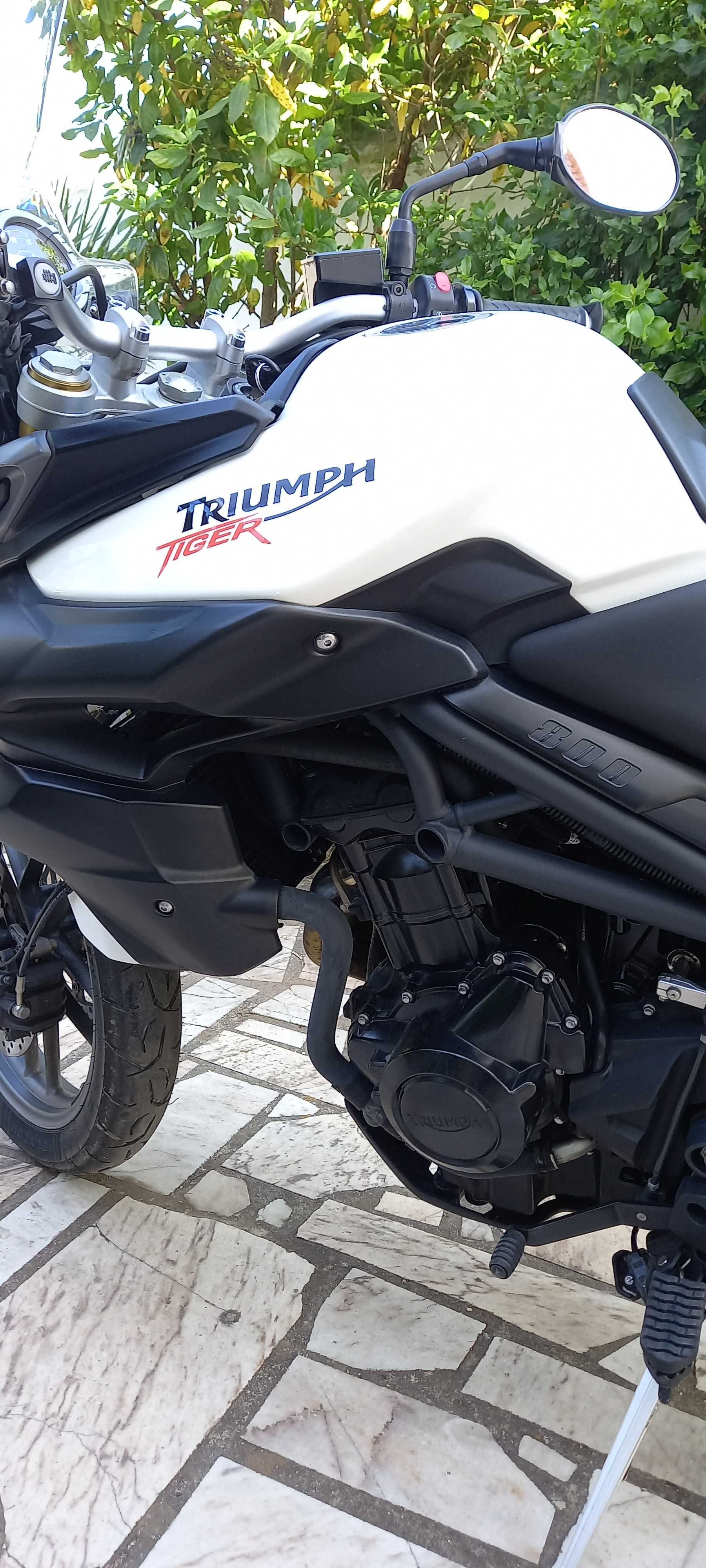Triumph Tiger 800