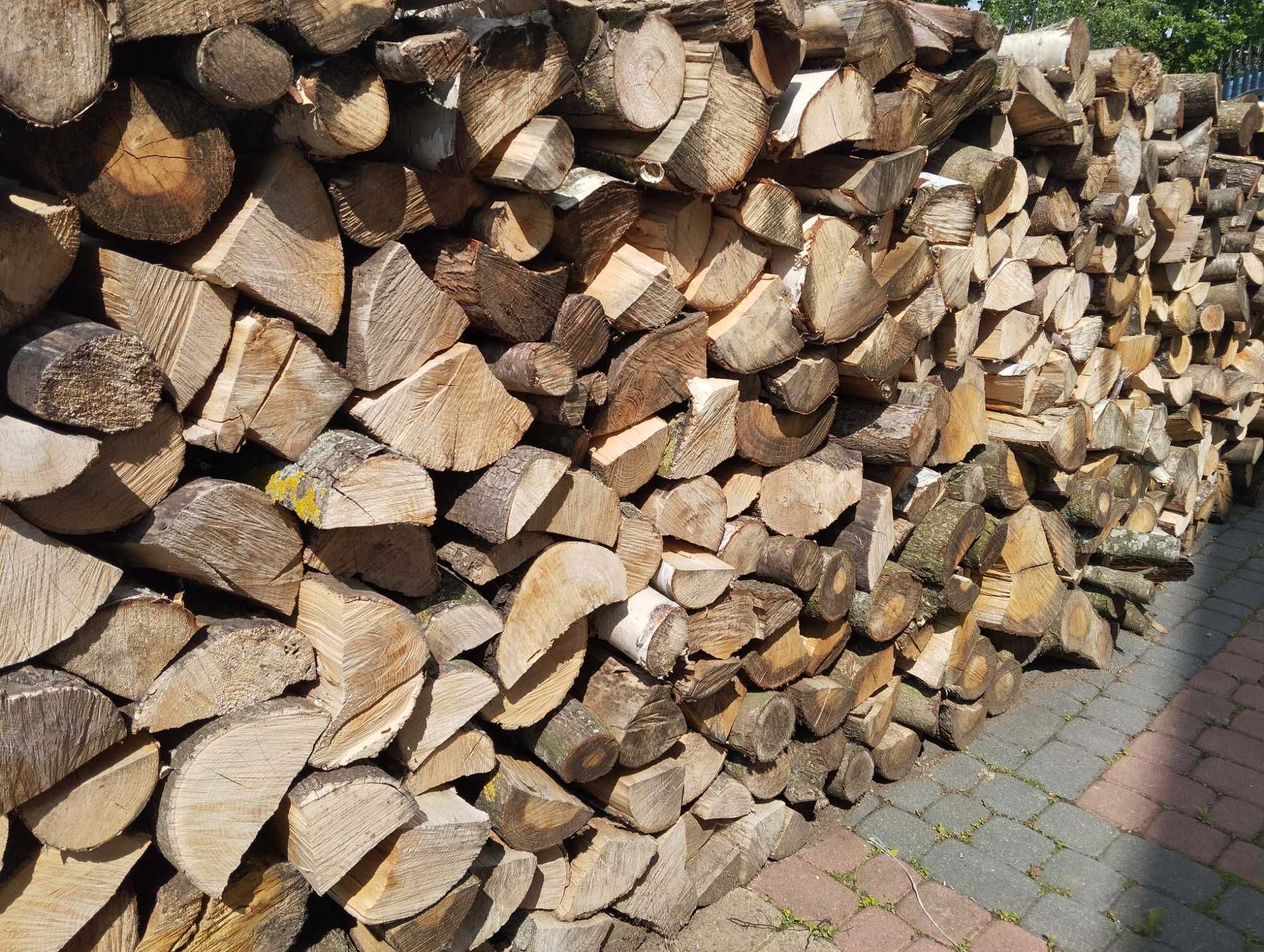Drewno różne gatunki