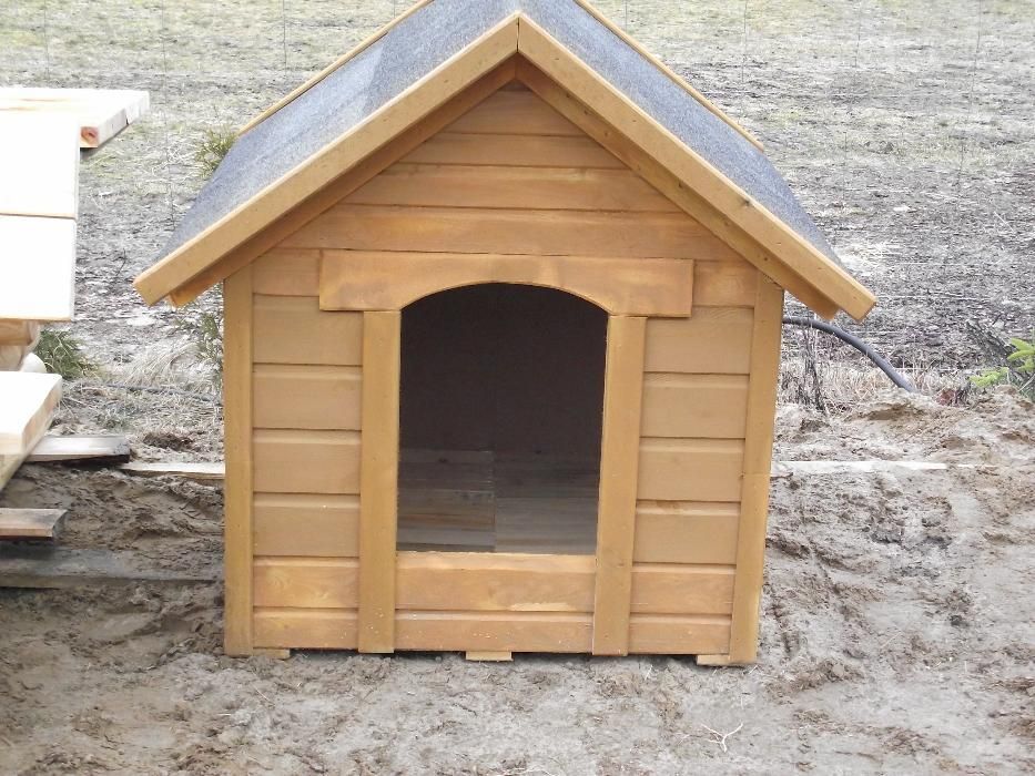 buda dla psa labrador