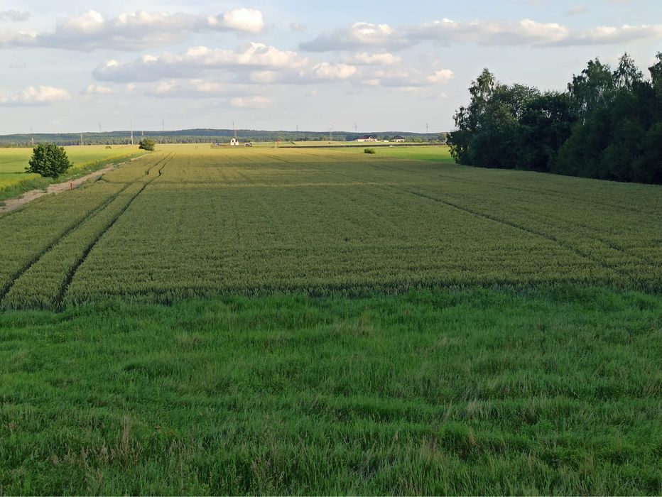Działki budowlane w Zawadach