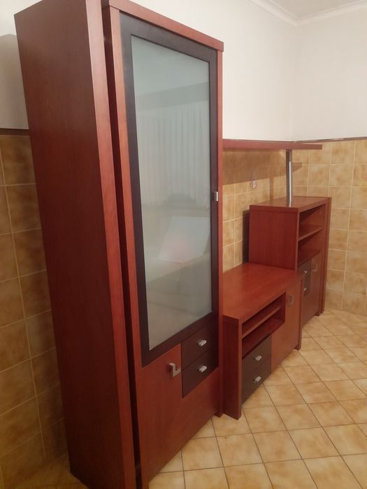 Estante e mesa centro em cerejeira e wengue.