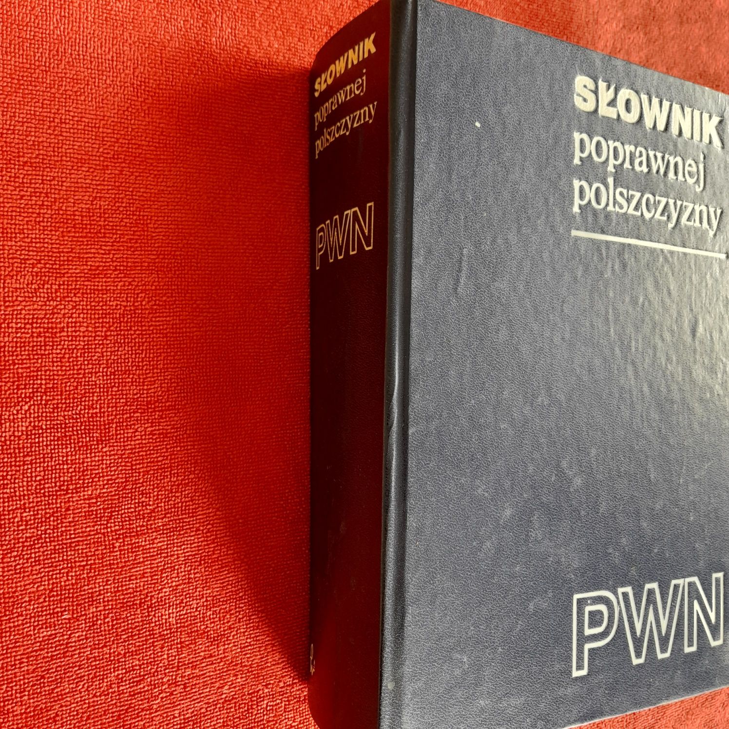 Słownik poprawnej polszczyzny PWN