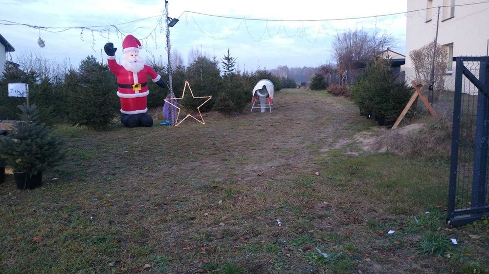 Choinki - Grubale 39 k. Siedlec