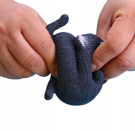 Gniotek Antystresowy Kotek, Kot Mochi Squishy W Kształcie Kotka