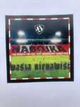 50 SZT Wlepki Vlepki RTS Widzew Ruch Elana Wisła