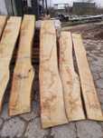 Tarcica dębowa suszona 8-10%