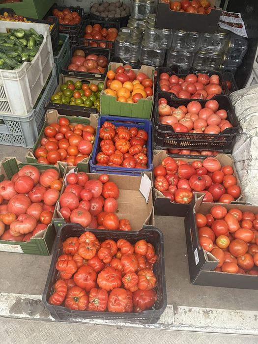 Ekologiczne warzywa i owocowe z poletka w Mirkowie ul. Kalinowa 3A