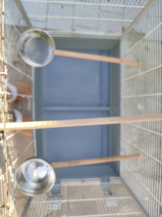 Gaiola para papagaio