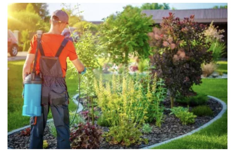 Садовник-выполняем все садовые работы