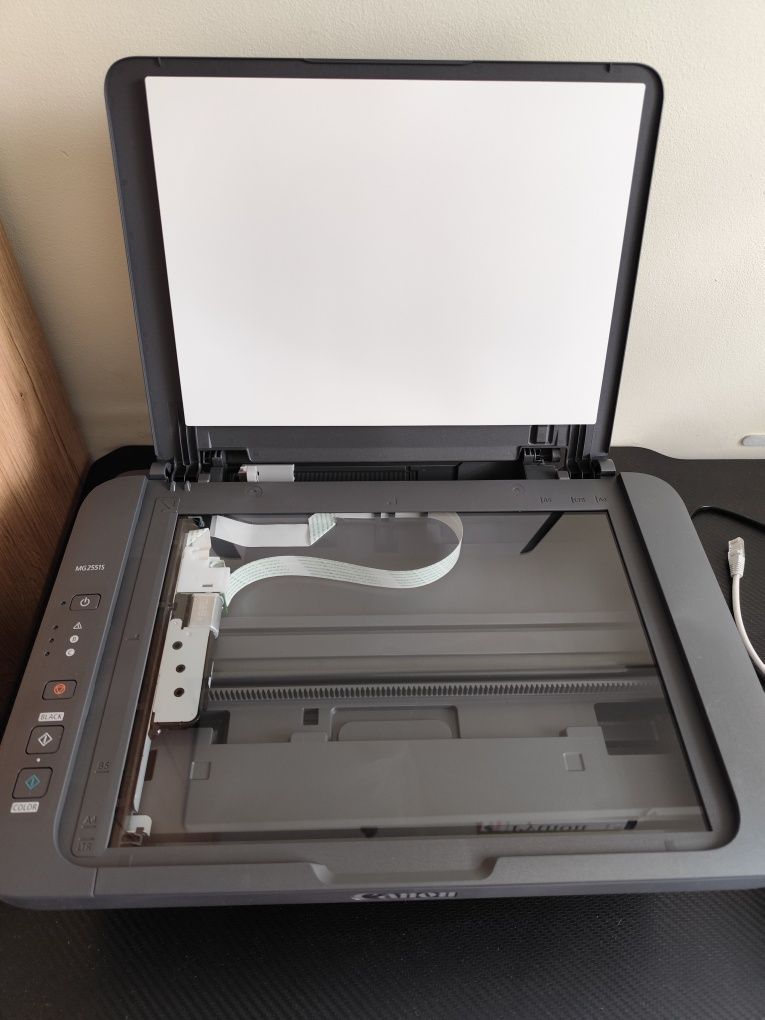 Drukarka Canon MG2551S