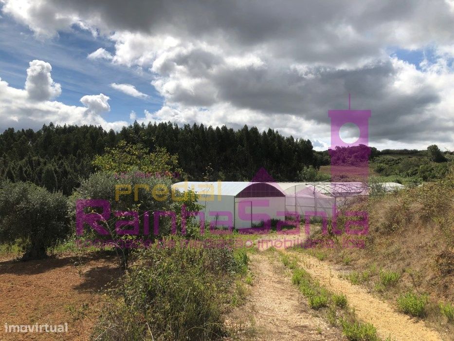 Terreno Agrícola com Estufas Hidropónicas - Soure