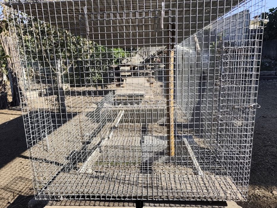 Gaiolas para Aves de medio e grande porte