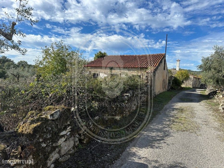 Tomar - Encantadora quinta para renovar com 11.600 m² de terreno co...