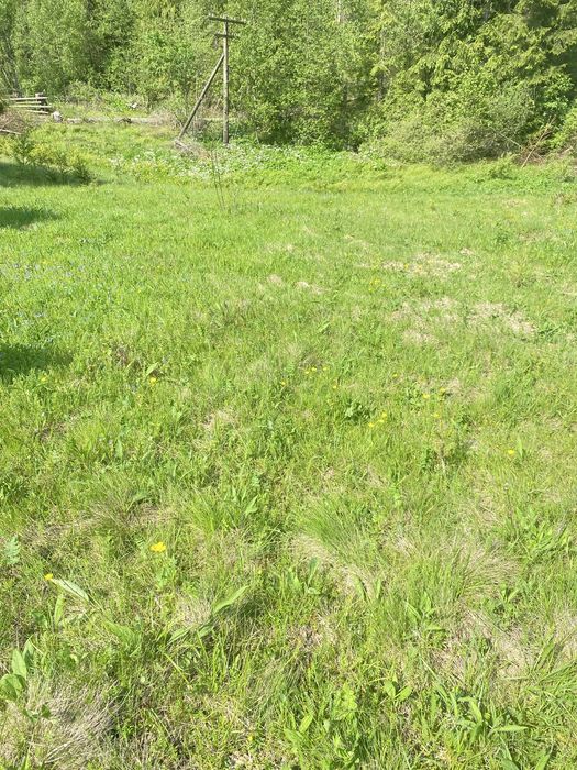 Земельна ділянка