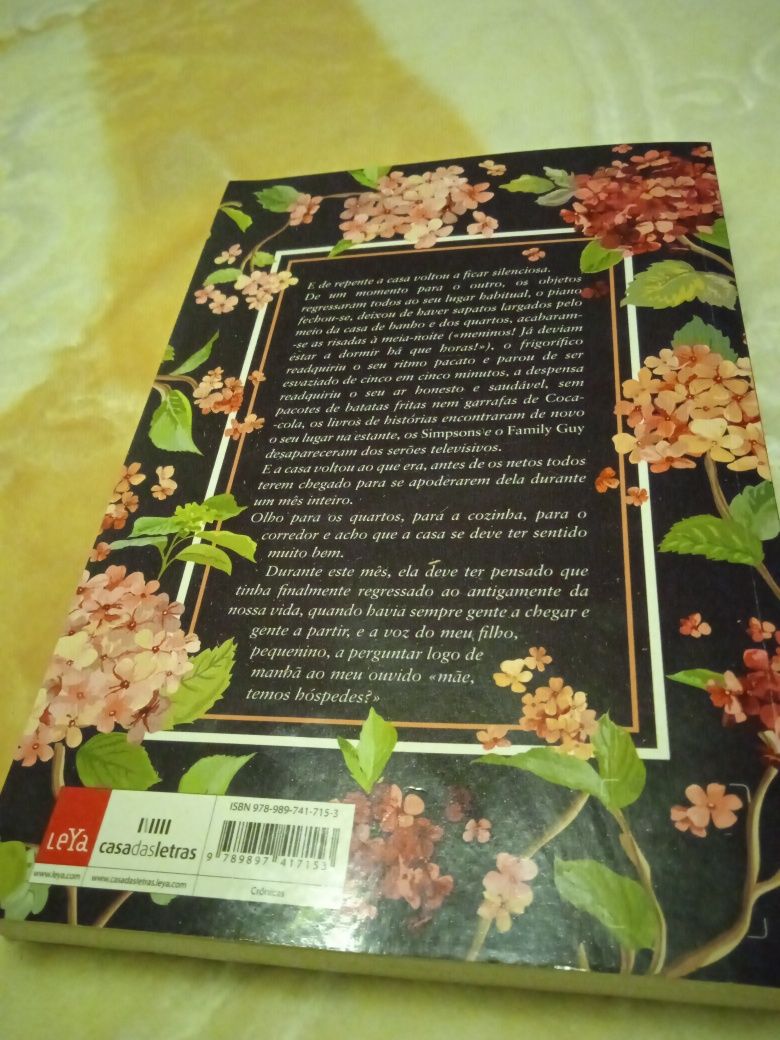 Só duas coisas que,entre tantas me afligiramm. Livro de Alice Vieira.