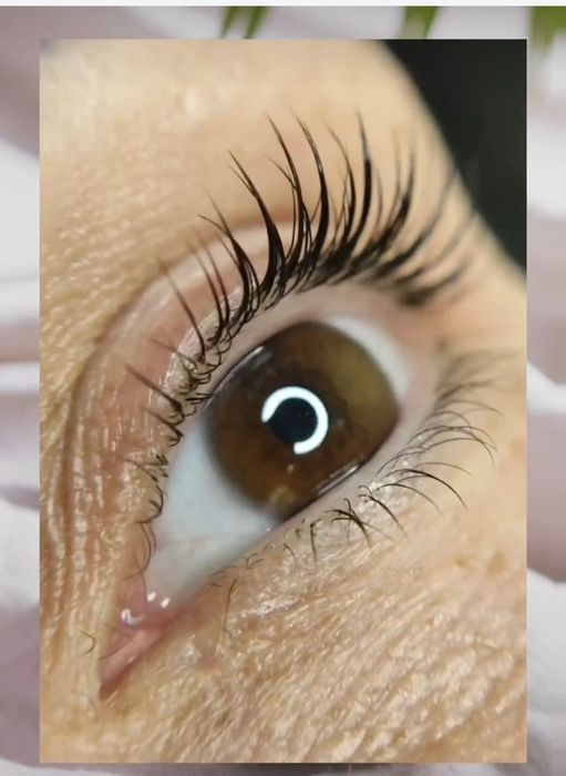 Ламінування вій та брів Одеса