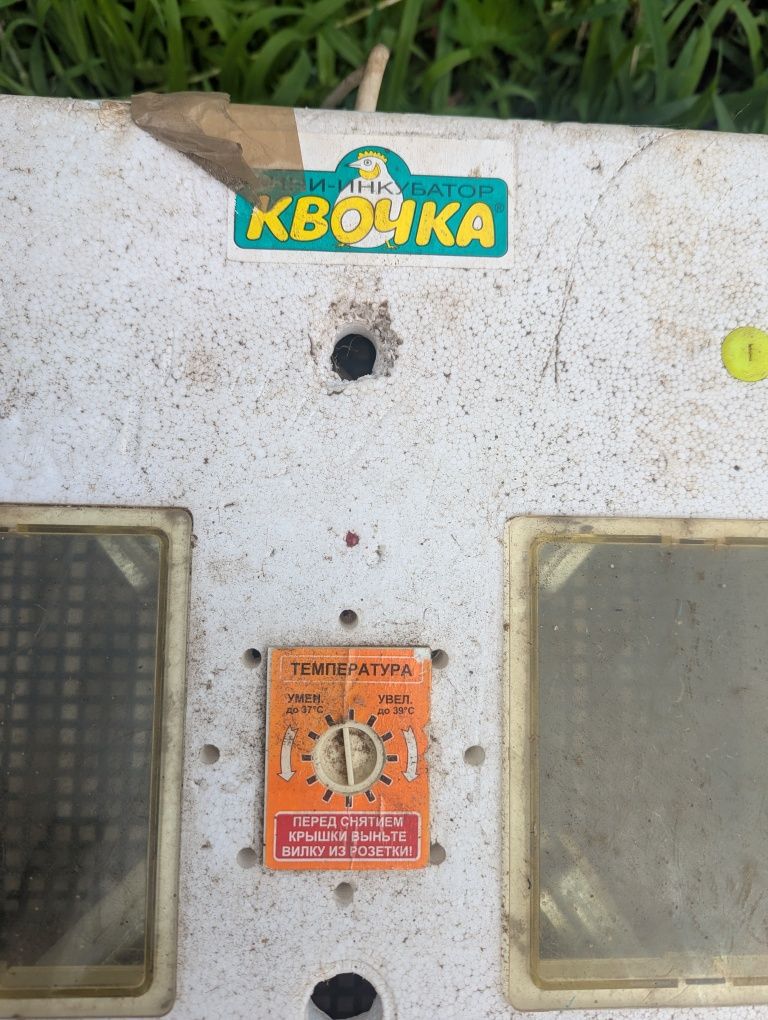 Міні інкубатор Квочка