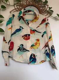 Bluzka w kolorowe ptaki