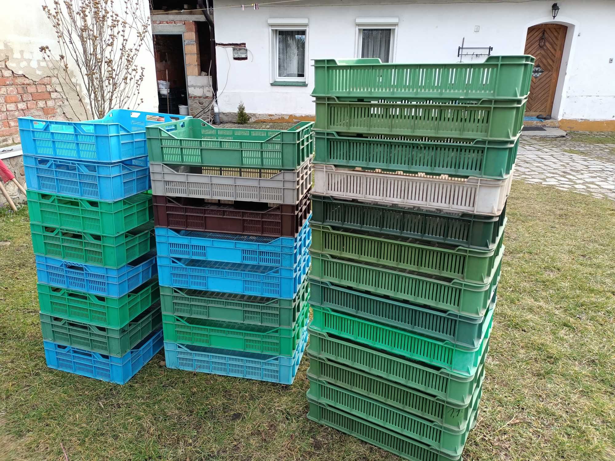 Skrzynki na maliny, borówki