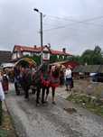 Sprzedam gniadego lub karego walacha