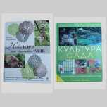 Новые идеи для красивого сада .Культура сада. Дизайн, выбор растений