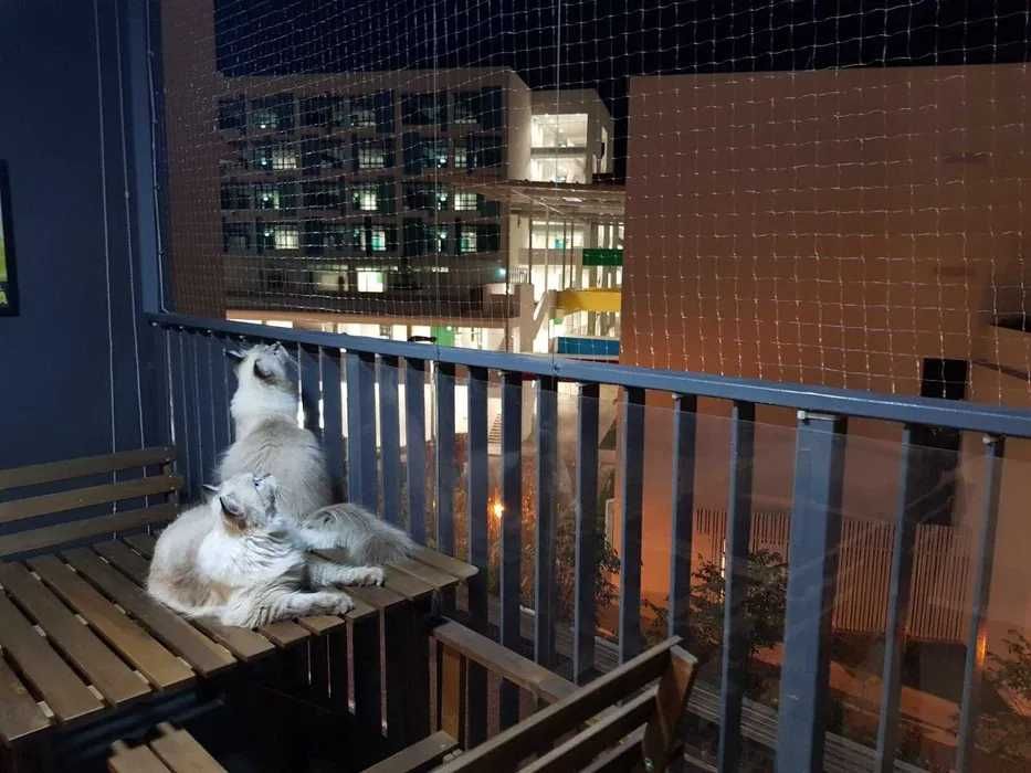 Siatka dla kota, siatka przeciw ptakom, siatka balkonowa, woliera