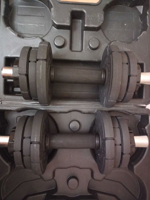 Гантели Energetics, 20 кг, в кейсе, метал, каждая по 10 кг