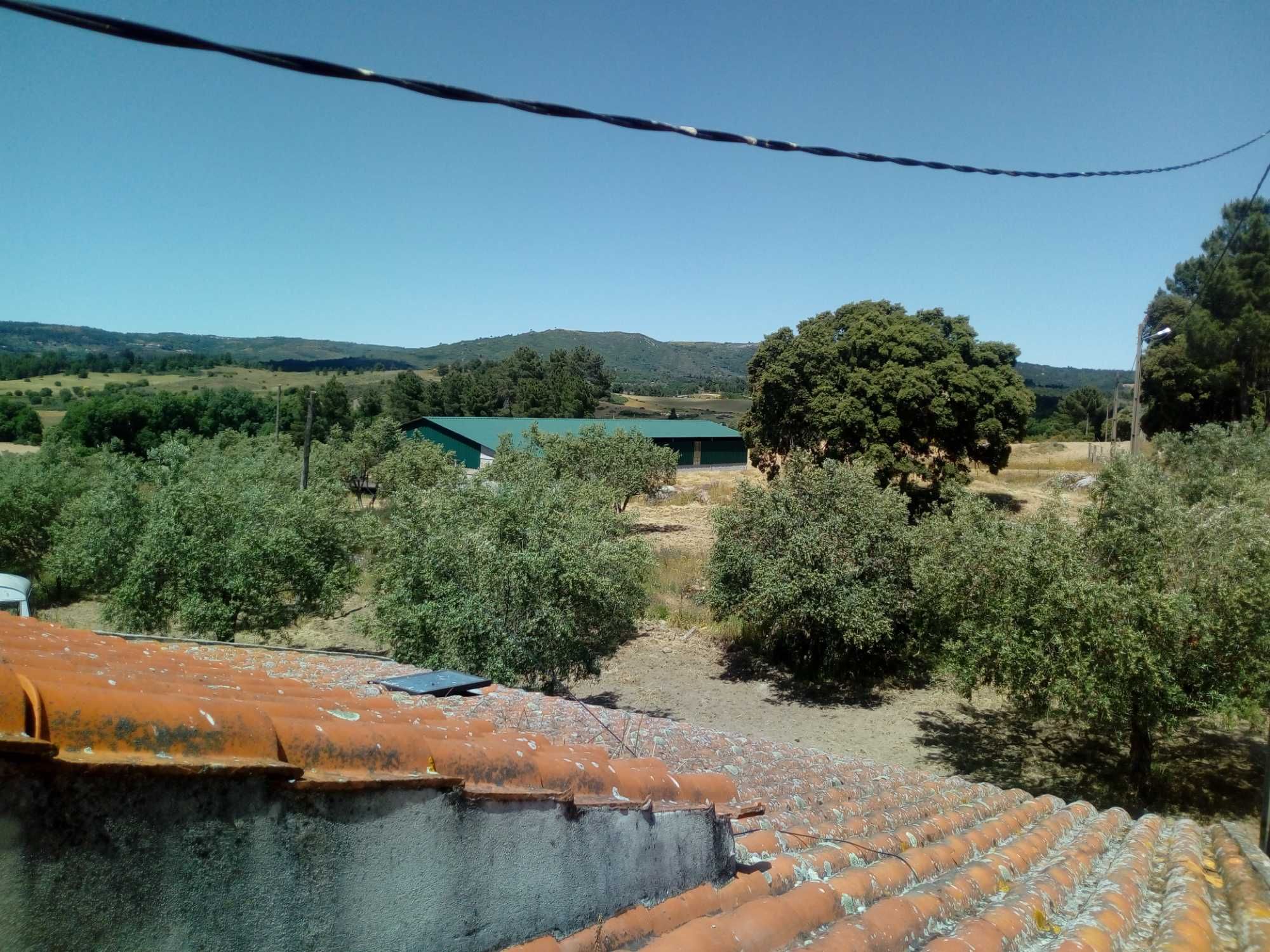 Quinta com casa e armazens