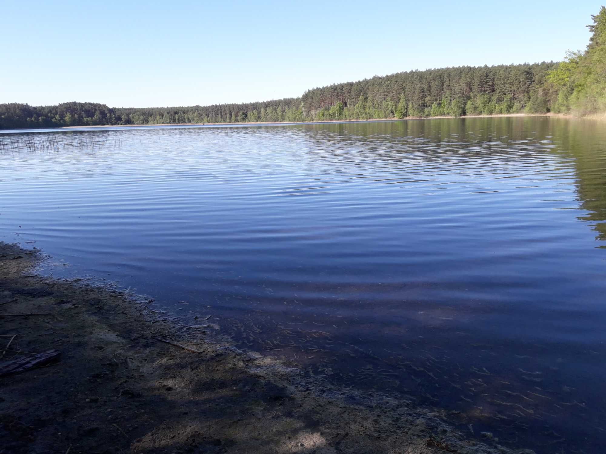 Agroturystyka u Leśnika Kaszuby Bory Tucholskie Jeziora Rowery  Kajaki