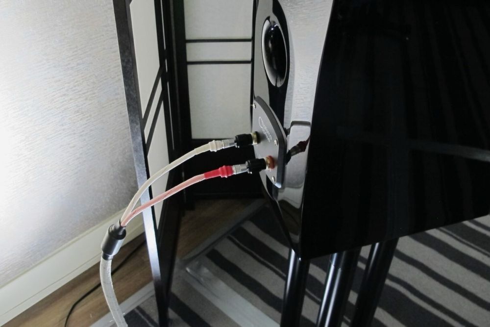 Tiglon 2000 SP Kable glosnikowe…