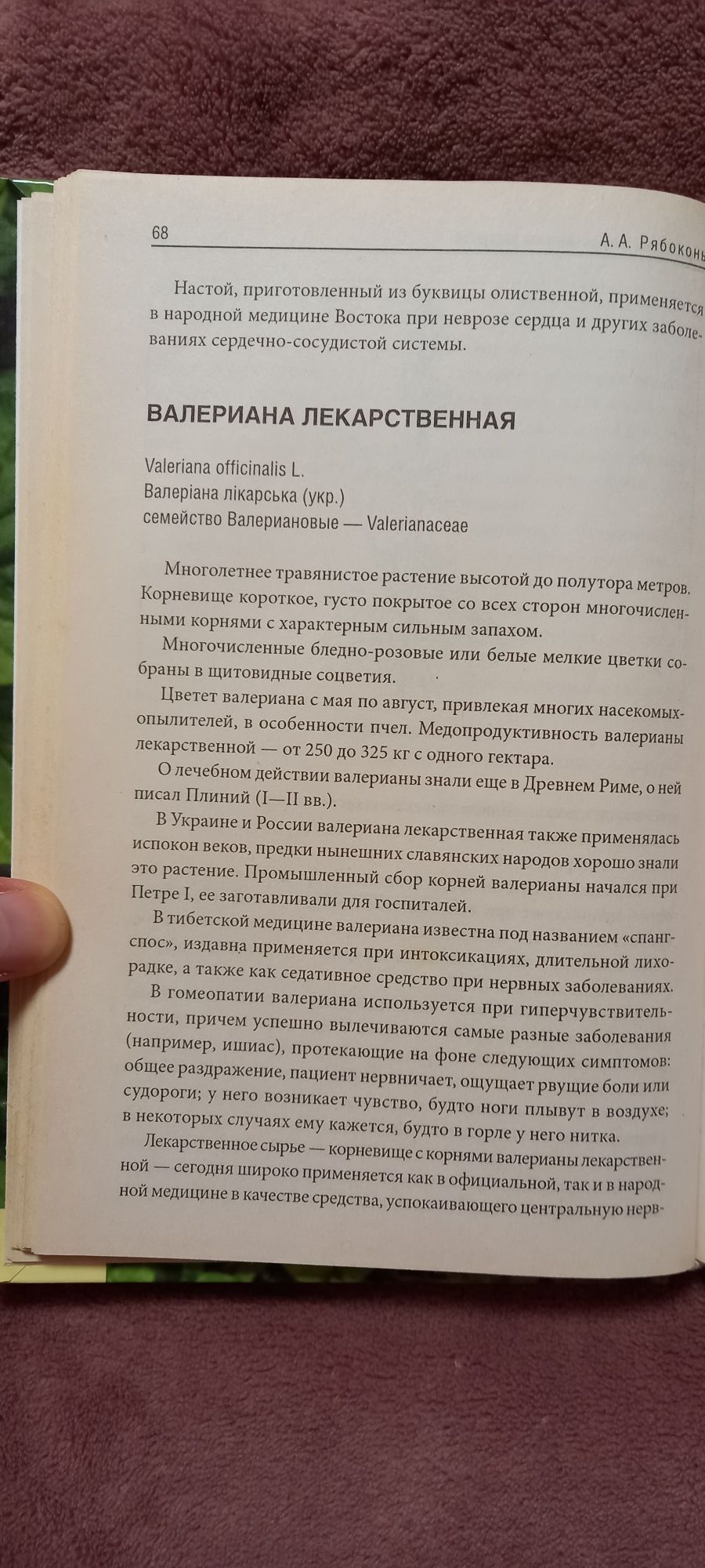 Справочник лекарственньіх растений Рябоконь