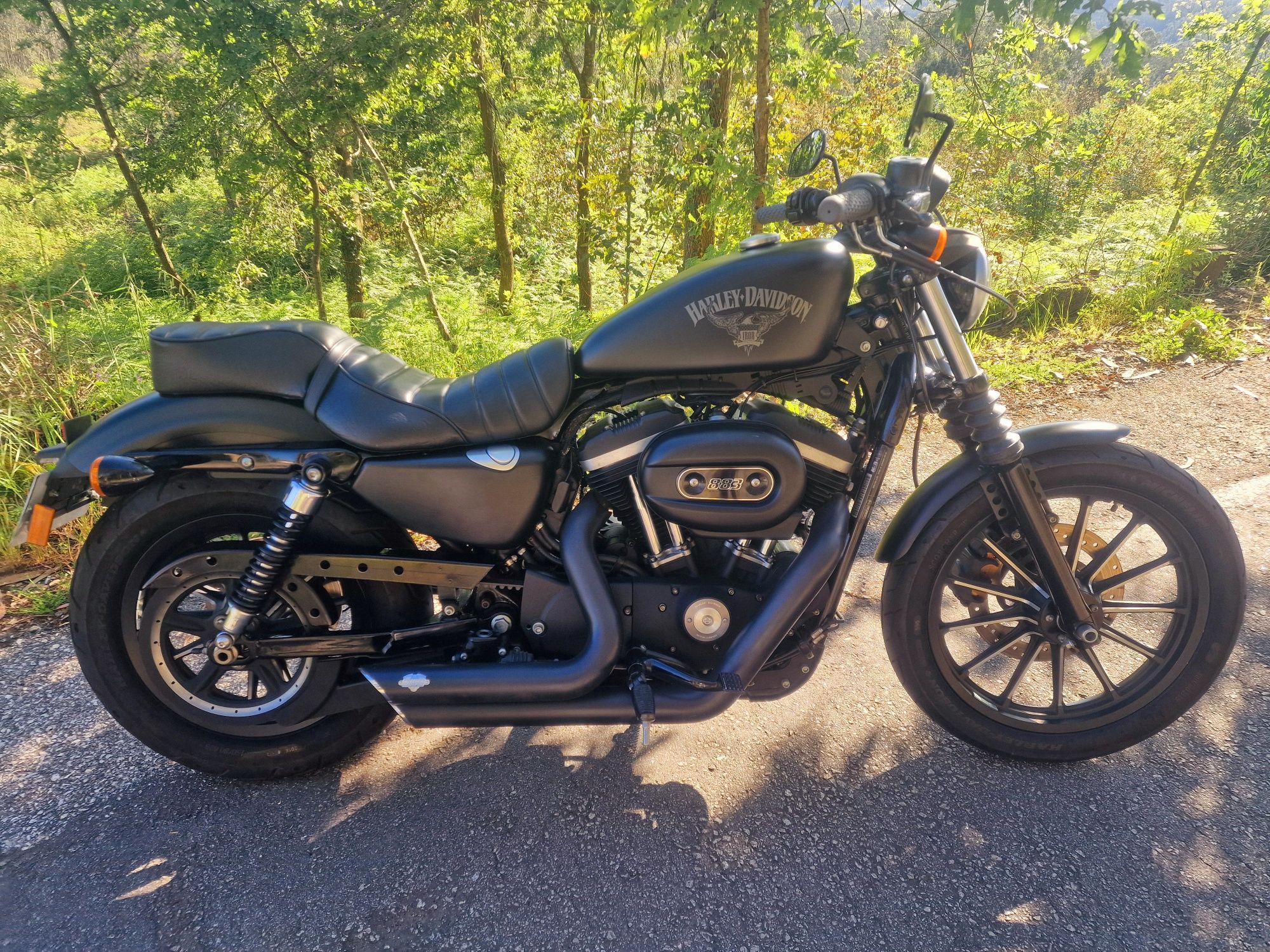 Harley Davidson 
XL 883N Iron (Sporster)