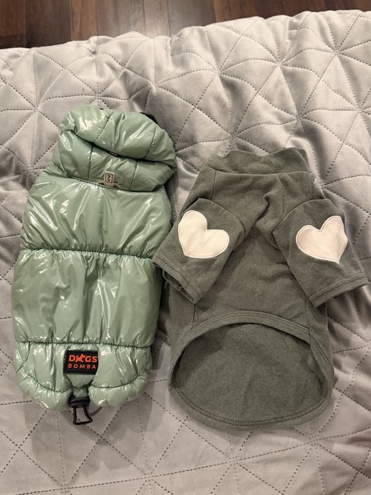 Желетка + кофтинка для собак малих порід, Хс