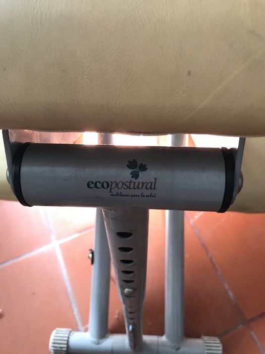Cadeira multifuncional Ecopostural