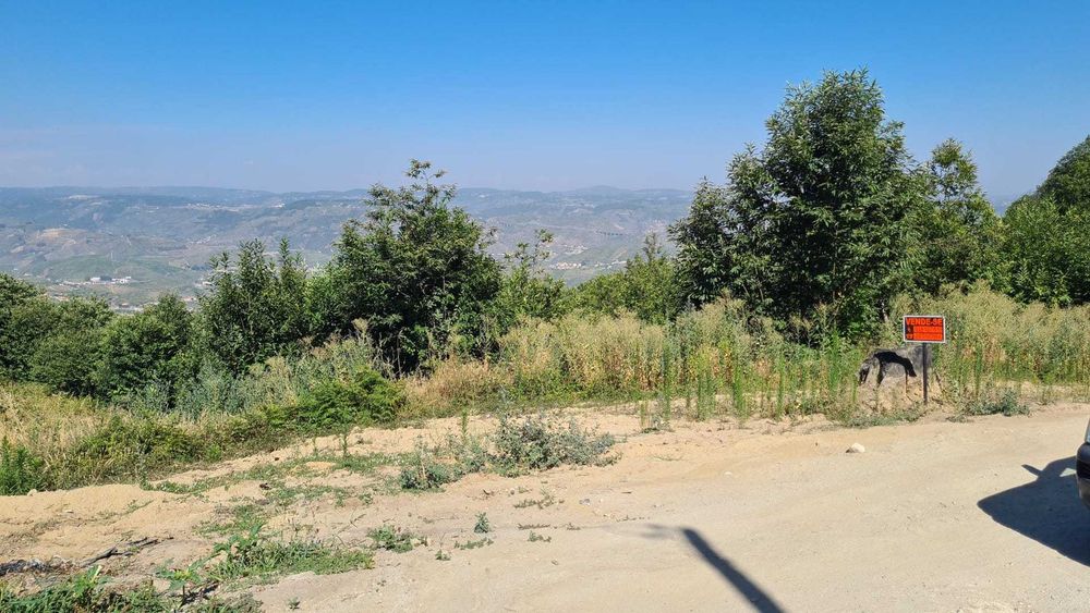 Terreno zona do Douro com viabilidade de construção