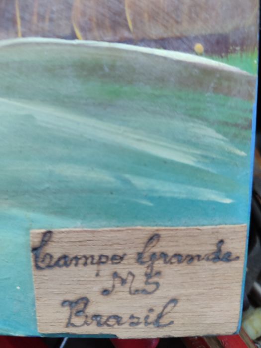 Artesanato quadro campo grande brasil