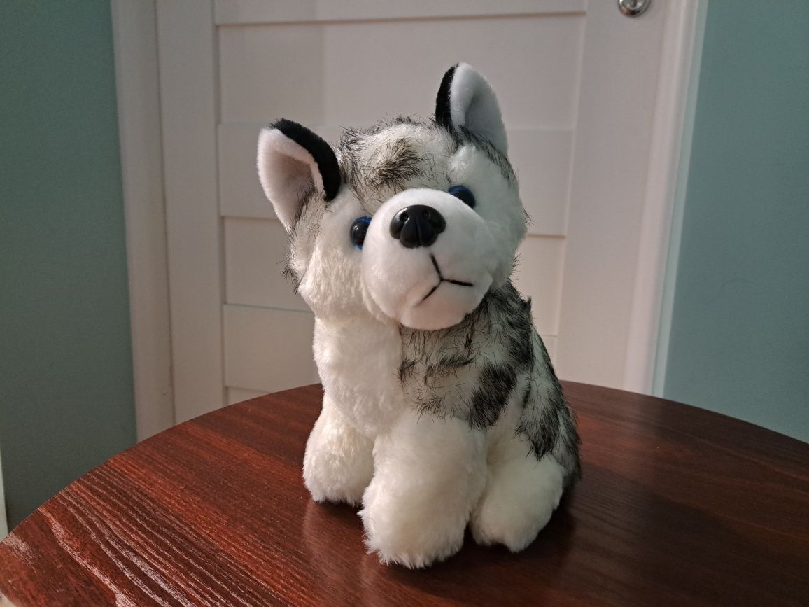 Pluszak maskotka Piesek Husky